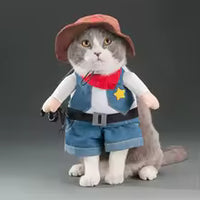 Halloween Pet Costume Collection