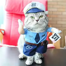 Halloween Pet Costume Collection