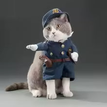 Halloween Pet Costume Collection